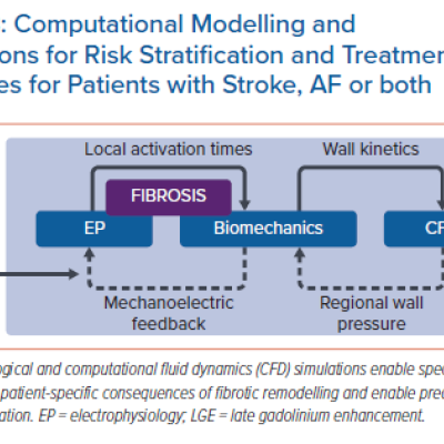 Computational Modelling and Simulations for Risk Stratification and Treatment Strategies for Patients with Stroke AF or both