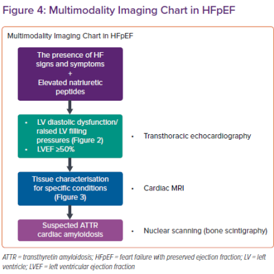Multimodality Imaging Chart in HFpEF