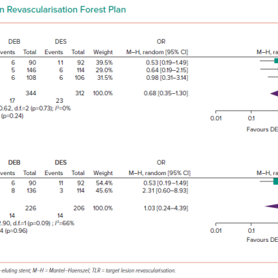 Target Lesion Revascularisation Forest Plan