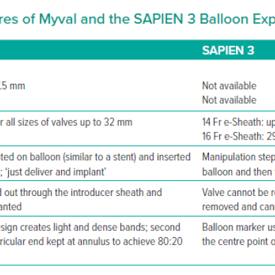 A Comparison of the Features of Myval and the SAPIEN 3 Balloon Expandable Valve