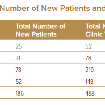 Total Number of New Patients and Clinic Visits