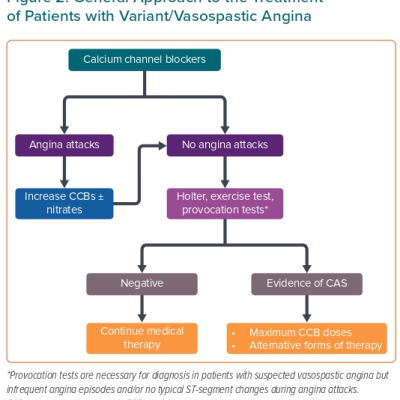 Figure 2 General Approach to the Treatment  of Patients with Variant/Vasospastic Angina