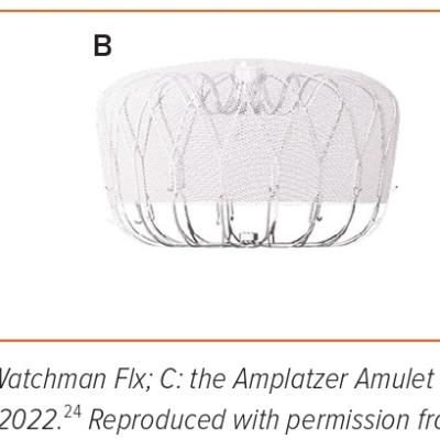 Figure 1 Transcatheter Left Atrial  Appendage Closure Devices
