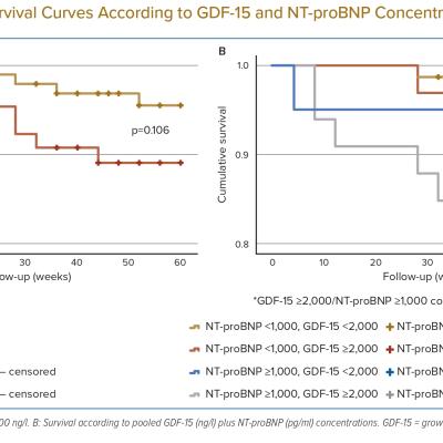 Kaplan–Meier Survival Curves According to GDF-15 and NT-proBNP Concentrations