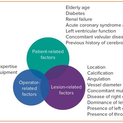 Figure 2 Factors Involved in Decision Making  in Left Main Coronary Artery Management