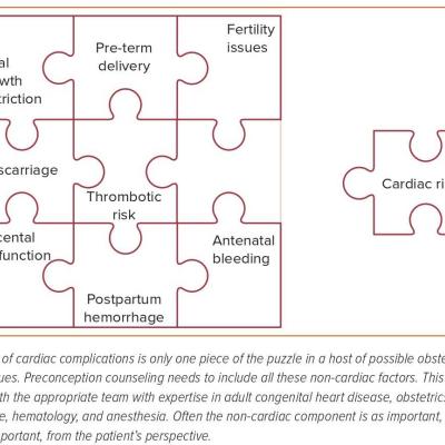 Figure 2 Pre-conception Counseling in  Patients with a Fontan Circulation