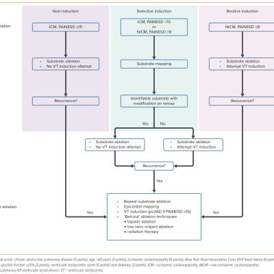 Figure 5 Our Approach to Minimising the Risk of Haemodynamic Compromise Associated with Ventricular Tachycardia Induction during Scar-related Ventricular Tachycardia Ablation