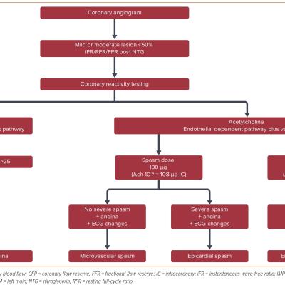 Figure 1 Procedural Steps for Coronary Function Testing
