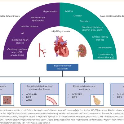 Figure 1 Pathophysiology of Heart Failure with Preserved Ejection Fraction and Pharmacological Approaches for Neurohormonal Modulation