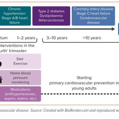 Figure 2 The Fourth Trimester Interventions in Women with Hypertensive Disorders of Pregnancy to Prevent Cardiovascular Disease