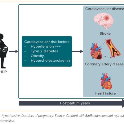 Figure 1 Cardiovascular Risk Factors are the Main Mediators of Cardiovascular Disease in Women with a History of Hypertensive Disorders of Pregnancy