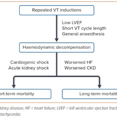 Figure 2 Adverse Prognostic Impact of Ventricular Tachycardia Induction on Vulnerable Patients Undergoing Ventricular Tachycardia Ablation