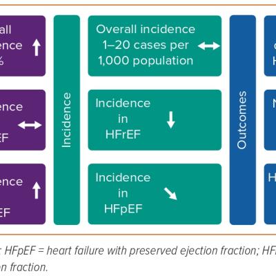 Figure 3 Summary of Trends in Global Burden of Heart Failure