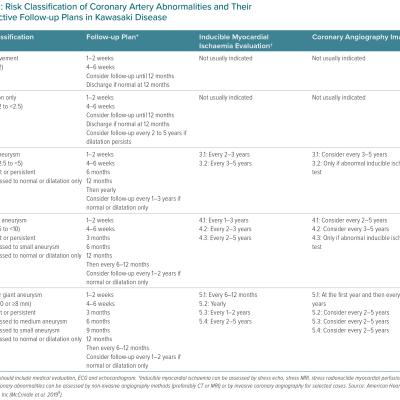 Risk Classification of Coronary Artery Abnormalities and Their Respective Follow-up Plans in Kawasaki Disease