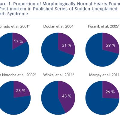 Proportion of Morphologically Normal Hearts Found at Post-mortem in Published Series of Sudden Unexplained Death Syndrome
