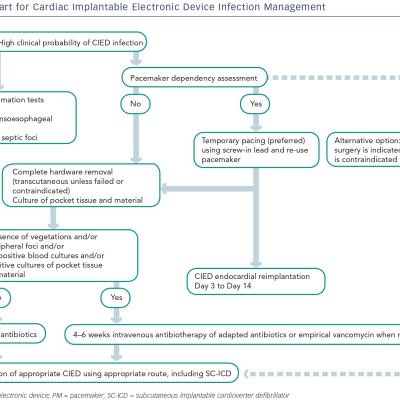 Flow Chart for Cardiac Implantable Electronic Device Infection Management