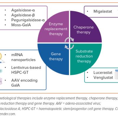 Figure 2 Therapeutic Options for Patients with Fabry’s Disease