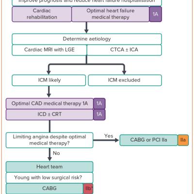 Figure 4  Suggested Strategy for the Evaluation and Management of Coronary Artery Disease in Heart Failure with Reduced Ejection Fraction