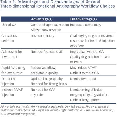 Advantages and Disadvantages of Several Three-dimensional Rotational Angiography Workflow Choices