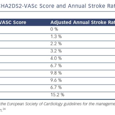 CHA2DS2-VASc Score and Annual Stroke Rates