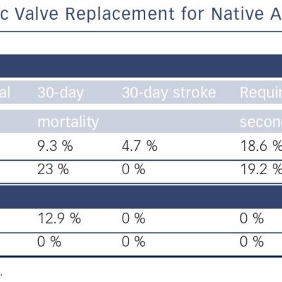 Registry Reports of Transcatheter Aortic Valve Replacement for Native Aortic Valve Regurgitation