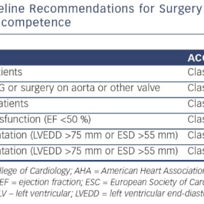 Guideline Recommendations for Surgery in Patients with Aortic Incompetence