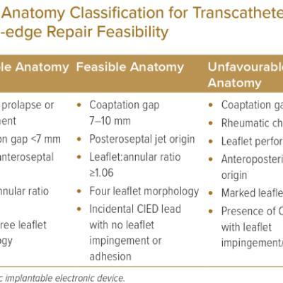 Anatomy Classification for Transcatheter Edge-to-edge Repair Feasibility