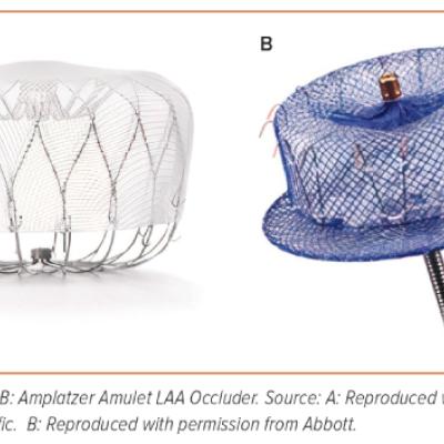 Figure 3 The Most Common Used Left Atrial Appendage Occluder Devices
