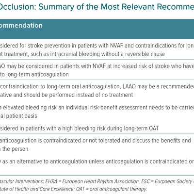 Left Atrial Appendage Occlusion Summary of the Most Relevant Recommendations