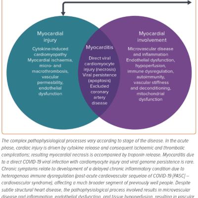 Figure 1 Spectrum of Pathophysiology of Cardiovascular Involvement Due to COVID-19