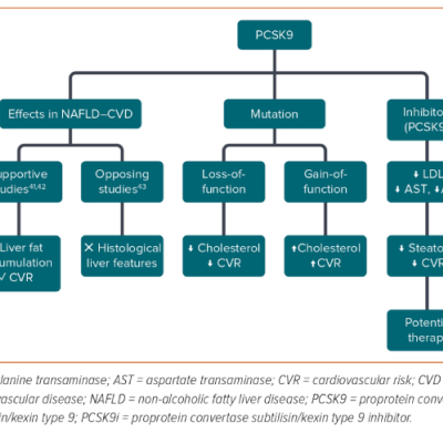 Figure 2 Possible Effects of Proprotein Convertase Subtilisin/Kexin Type 9 on Non-alcoholic Fatty Liver Disease and Related Cardiovascular Disease