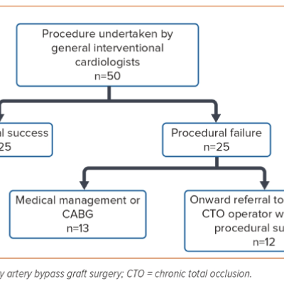 Figure 3. Outcomes of Chronic Total Occlusion Procedures Undertaken by General Interventional Cardiologists