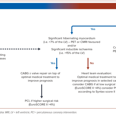Figure 3 Proposed Management Algorithm for Heart Failure with Reduced Ejection Fraction Patients with Ischaemic Cardiomyopathy and Coronary Multivessel Disease
