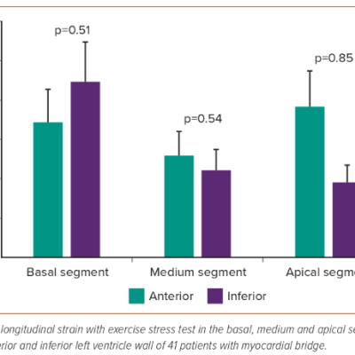 Figure 1 Change in Longitudinal Strain with Exercise Stress Test 