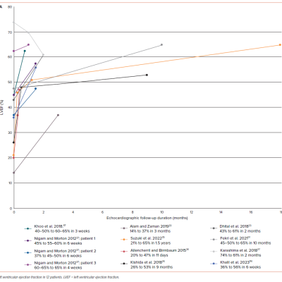 Figure 3A Cardiac Follow-up Graphs Based on Echocardiographic Assessment