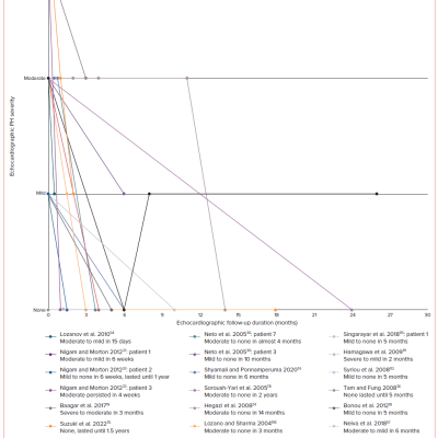 Figure 3B Cardiac Follow-up Graphs Based on Echocardiographic Assessment