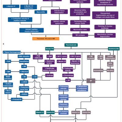 Figure 4 Thyrotoxic Tricuspid Regurgitation and/or Mitral Regurgitation