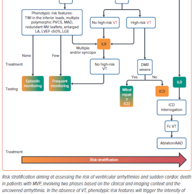 Figure 6 Risk Stratification Scheme