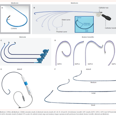 Figure 1 Commercially Available Sheaths for Conduction System Pacing