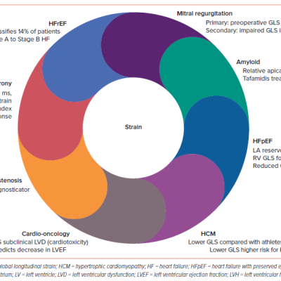 Figure 6 Global Longitudinal Strain Imaging