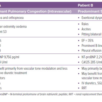 Table 2 Comparison of Two Patients That Would Benefit from Congestion Phenotype Assessment