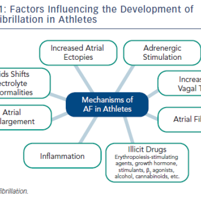 Figure 1 Factors Influencing the Development of Atrial Fibrillation in Athletes