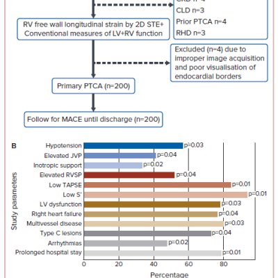 Figure 1 Study Protocol and Association of Characteristics with Right Ventricle Free Wall Longitudinal Strain