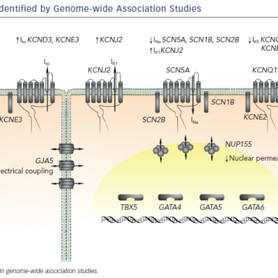 Figure 2 Genetic Variants Identified by Genome-wide Association Studies