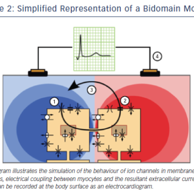 Figure 2 Simplified Representation of a Bidomain Model