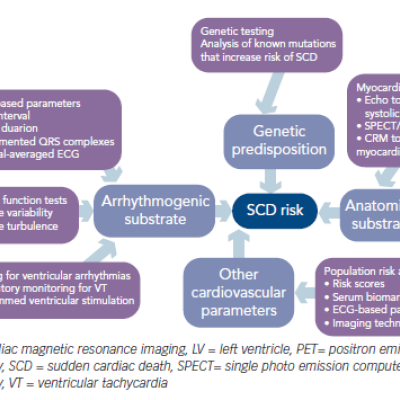 Figure 1 Methods for Risk Stratification of Sudden Cardiac Death