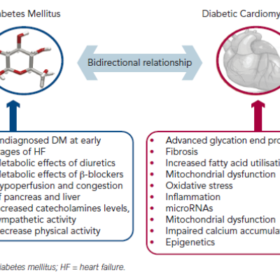 Figure 1 Schematic Depiction of the Bidirectional Relationship between Diabetes Mellitus and Heart Failure