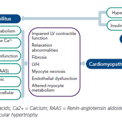 Figure 1 The Bi-directional Impact of Diabetes Mellitus and Heart Failure