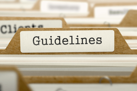 Analysis of the Differences Between the ESVS 2019 and NICE 2020 Guidelines for Abdominal Aortic Aneurysm