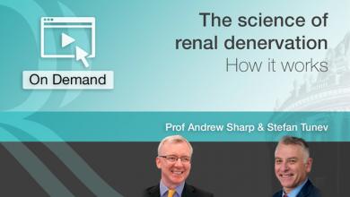 The Science of Renal Denervation